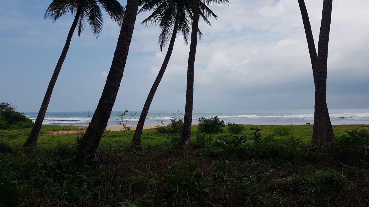 Hotel Oseda Nias Surf House à Hilibotodane Extérieur photo